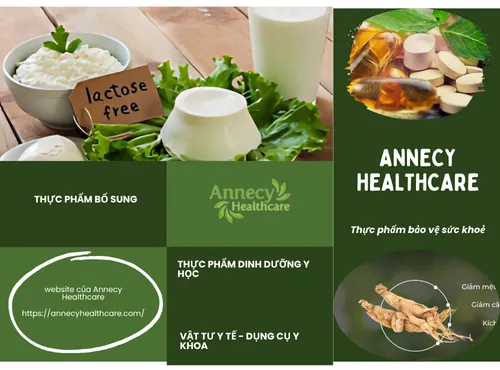 Annecy Healthcare – Technology and Humane Medicine for the Future