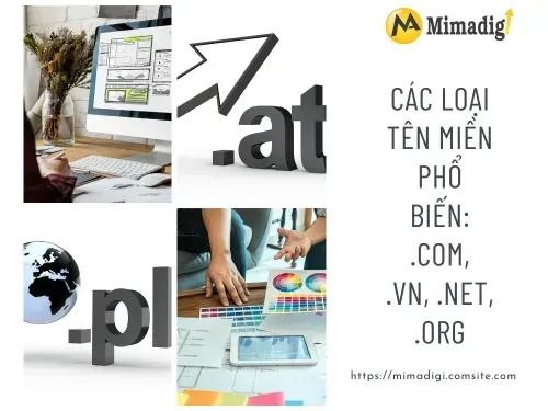 Các loại tên miền phổ biến: .com, .vn, .net, .org và cách chọn lựa