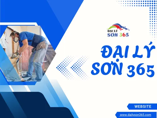 Sơn 365 – Giải pháp sơn toàn diện cho không gian bền đẹp mỗi ngày tại mimadigi