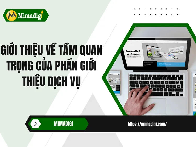 Giới Thiệu Về Tầm Quan Trọng Của Phần Giới Thiệu Dịch Vụ tại MIMA