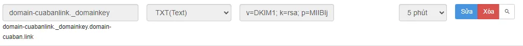 Bản ghi DKIM