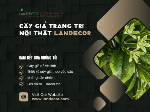 LanDecor – Nghệ thuật trang trí nội thất kết hợp cây xanh hoàn hảo tại mimadigi