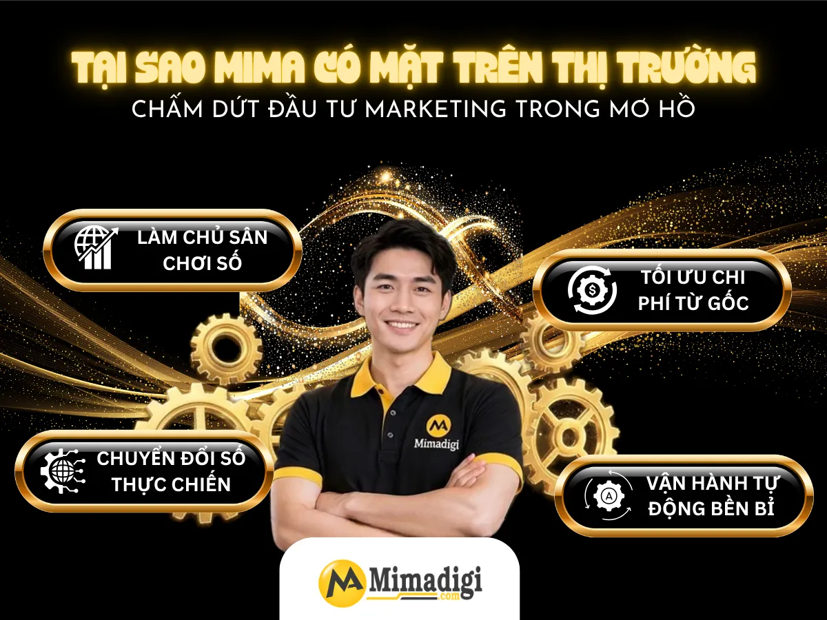 Tại Sao MIMA Lại Có Mặt Trên Thị Trường