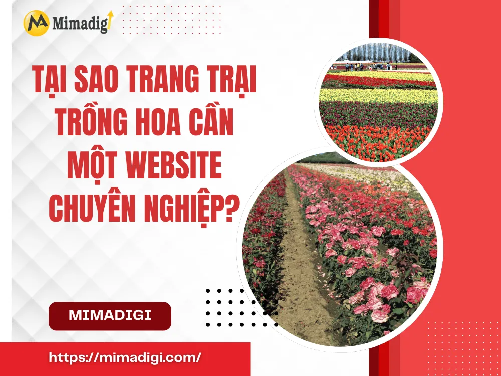Tại sao trang trại trồng hoa cần một website chuyên nghiệp? tại MIMA