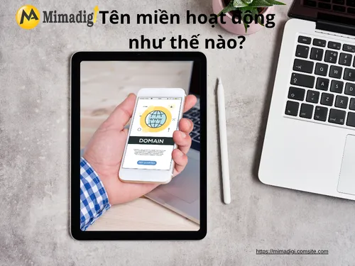 Tên miền là gì? Tầm quan trọng của tên miền trong kinh doanh online TẠI MIMADIGI