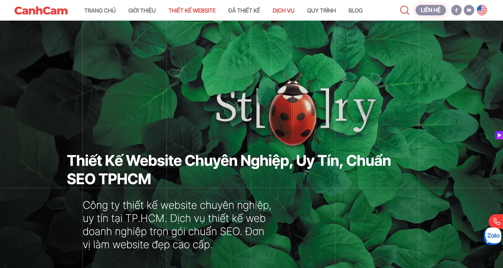Thiết kế website trọn gói uy tín