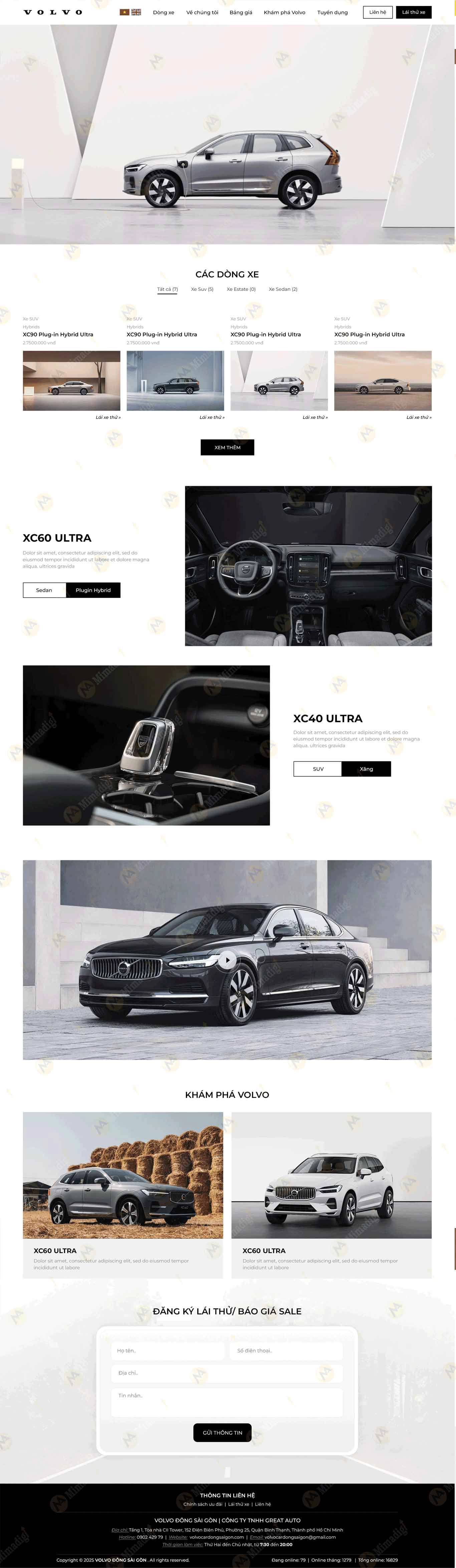 Professional Website Project