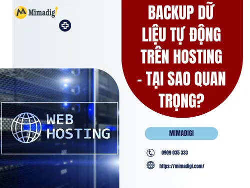 Backup dữ liệu tự động trên hosting – Tại sao quan trọng?