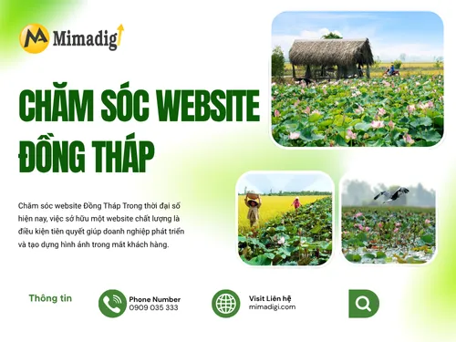 Website Care in Dong Thap