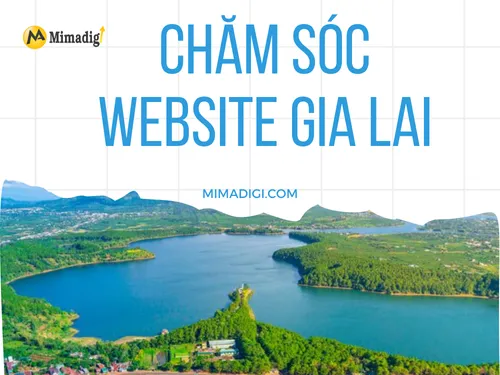 Chăm sóc website Gia Lai