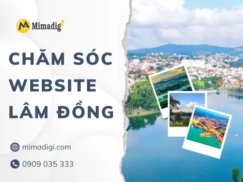 Chăm sóc website Lâm Đồng