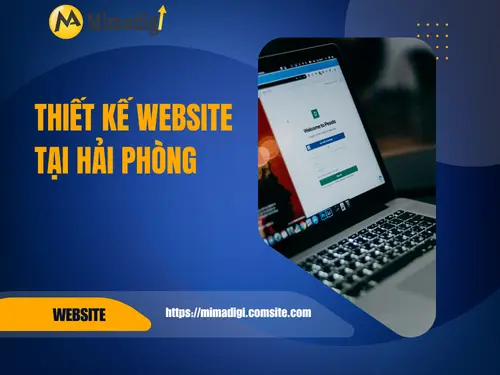 Website Design in Hai Phong – UX/UI Standard, Free Hosting