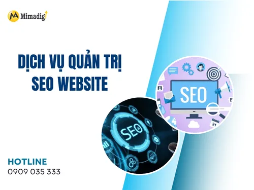 Dịch vụ quản trị SEO website – Giải pháp tăng thứ hạng Google
