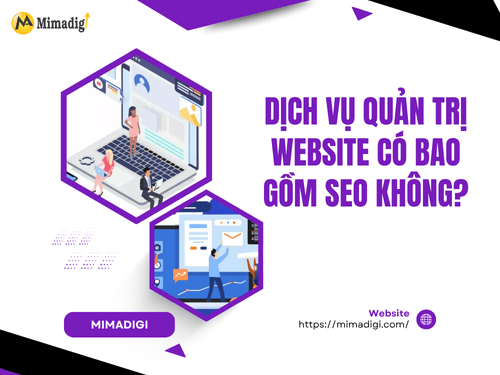 Does Website Management Service Include SEO?