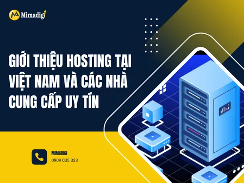 Introduction to Hosting in Vietnam and Reputable Providers