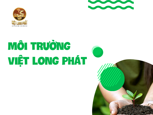 Dự Án Thiết Kế Website Môi Trường Việt Long Phát Cùng MIMADIGI