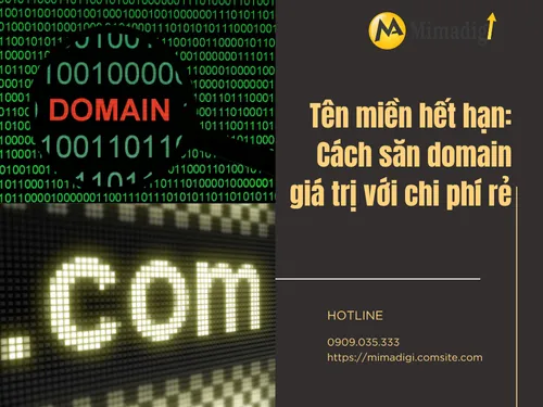 Expired Domains: How to Hunt Valuable Domains at a Low Cost