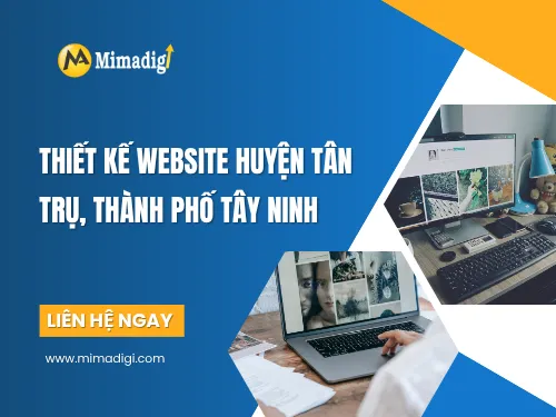 Website Design in Tan Tru District, Tay Ninh City