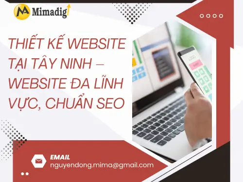 Website Design in Tay Ninh – Multi-field Website, SEO Standard