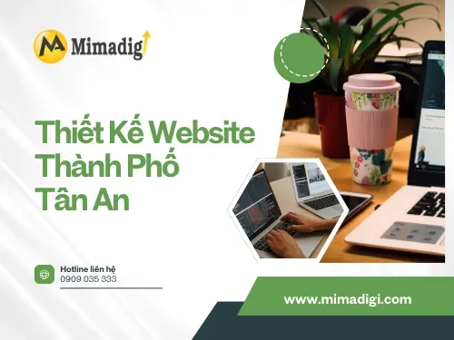 Website Design in Tan An City, Tay Ninh City