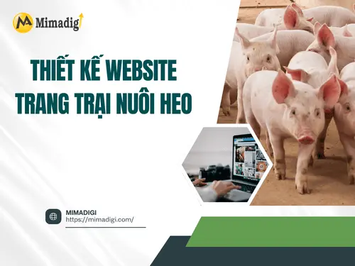 Thiết kế website trang trại nuôi heo