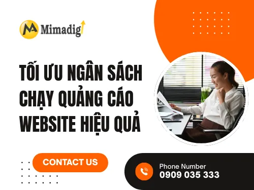 Optimize Website Advertising Budget Effectively