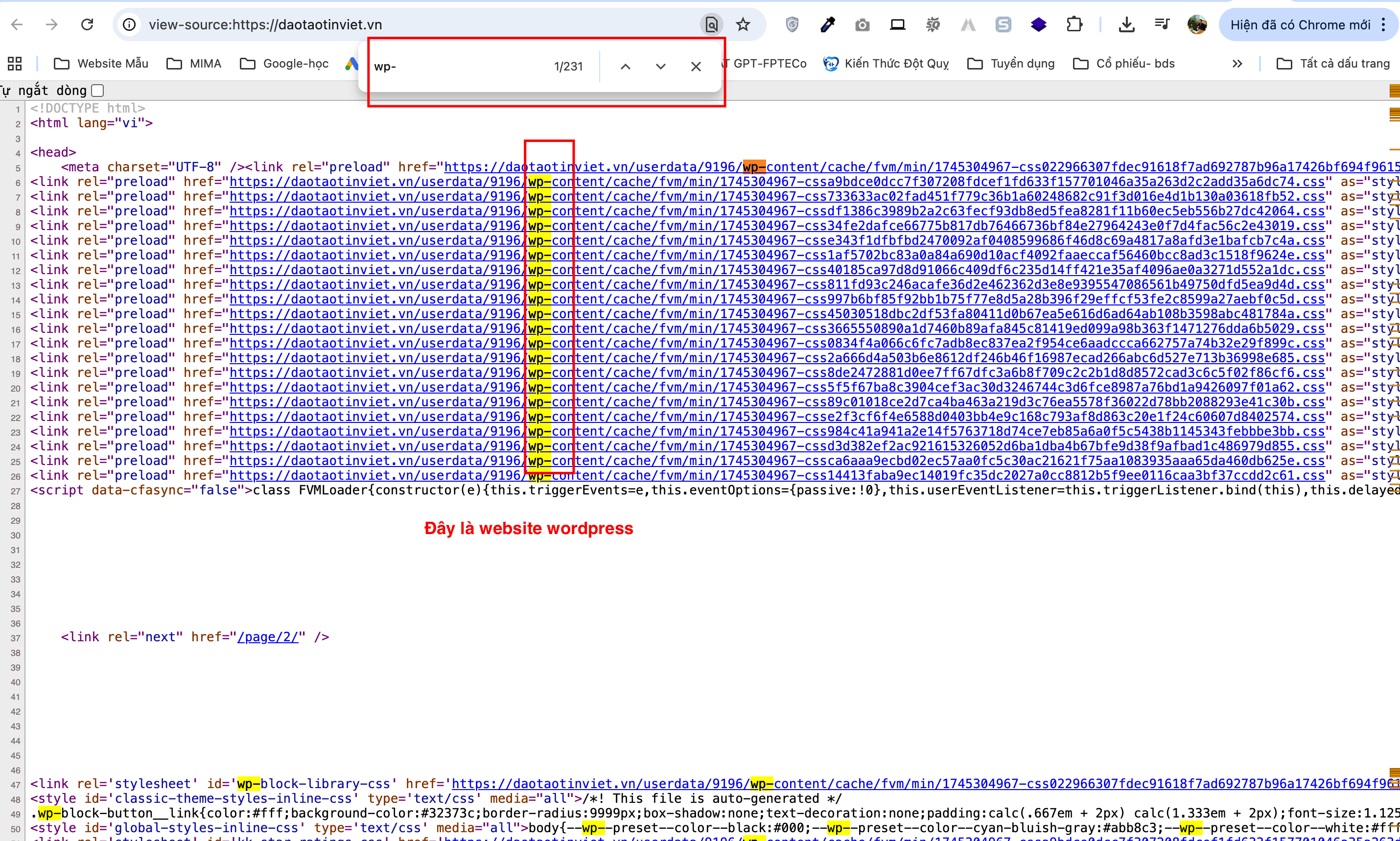 Cách Kiểm Tra Website Của Bạn Đã Tối Ưu SEO Google Chưa?