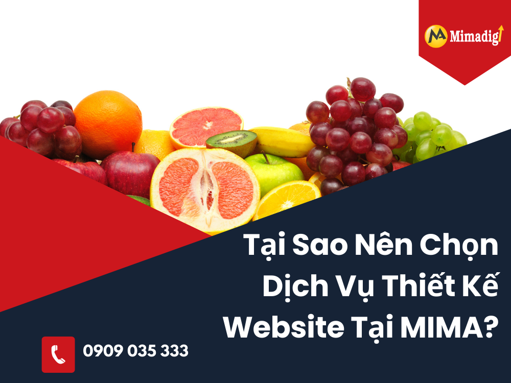 Tại Sao Nên Chọn Dịch Vụ Thiết Kế Website Tại MIMA? 