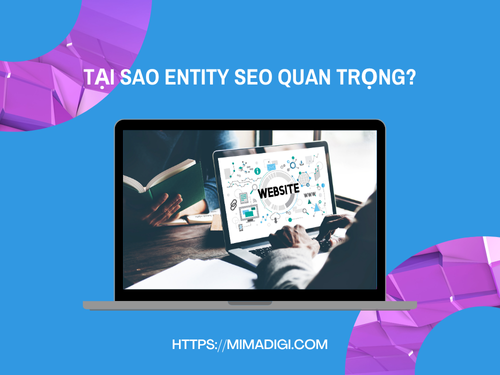 Entity SEO: Xu hướng mới giúp tăng trust website nhanh chónh cùng MIMADIGI