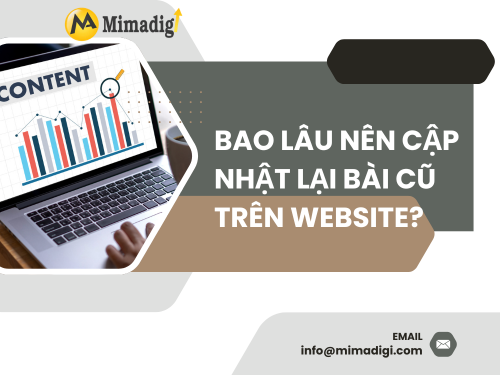 Bao lâu nên cập nhật lại bài cũ trên website? Cùng MIMADIGI tìm hiểu thêm