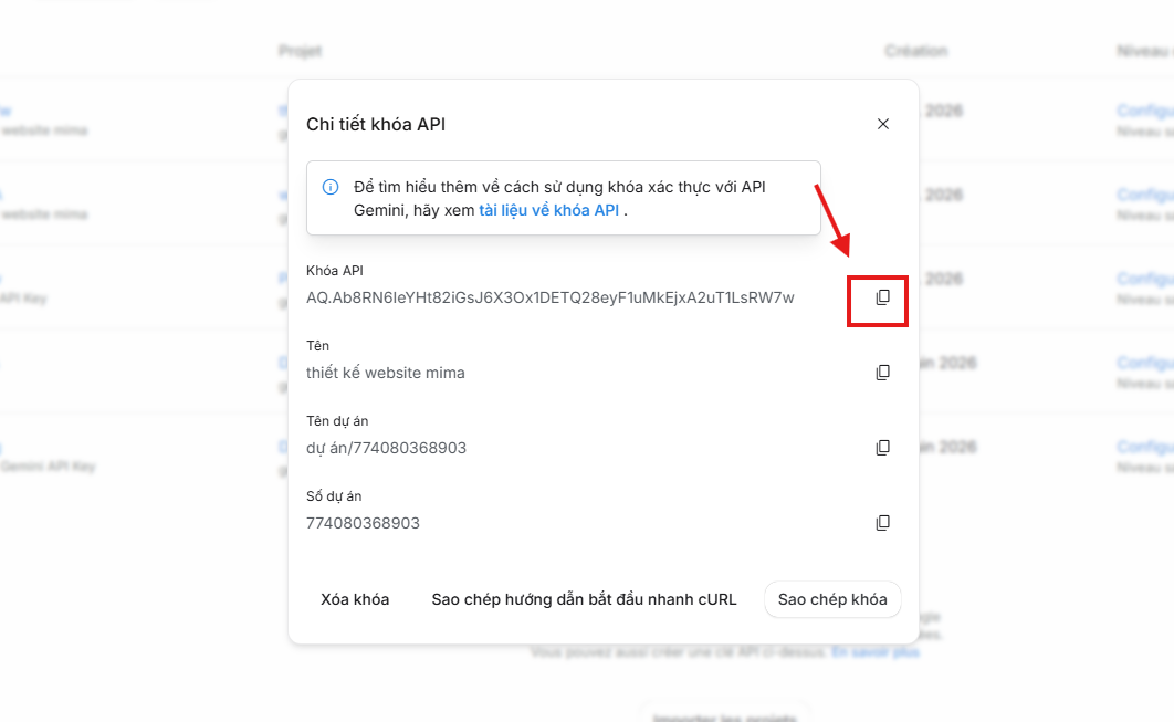 Bước 9: Copy API Key