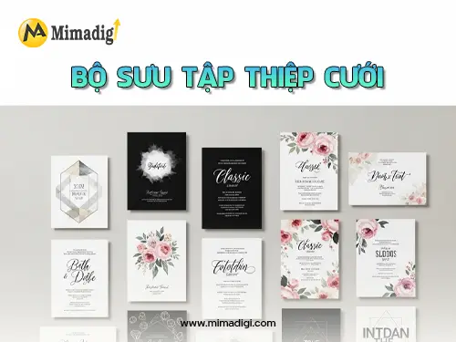 Thiết kế website dịch vụ rút hầm cầu, thông cống tại Mimadigi