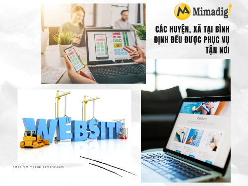 Thiết kế website tại Bình Định – Tối ưu SEO và quảng cáo