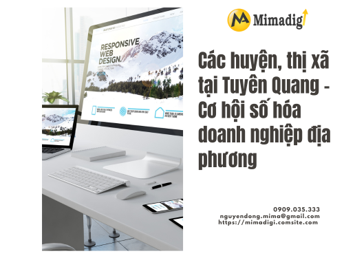 Thiết kế website tại Tuyên Quang – Hỗ trợ quảng cáo Google cùng mimadigi
