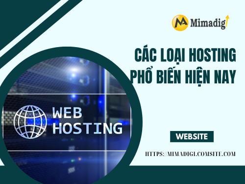 Hosting là gì? Các loại hosting phổ biến hiện nay của MIMADIGI