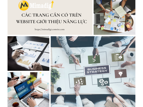 Website giới thiệu năng lực công ty tại mimadigi
