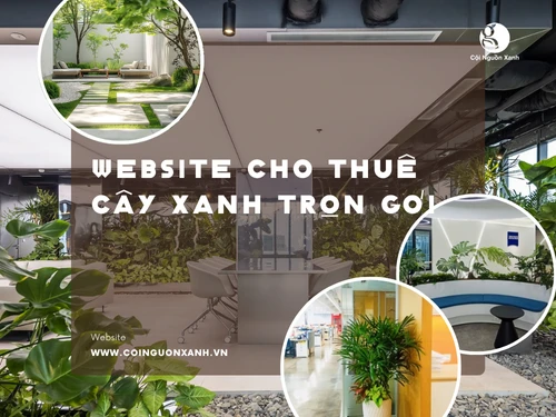 Cội Nguồn Xanh – Vì tương lai bền vững của hành tinh xanh tại mimadigi
