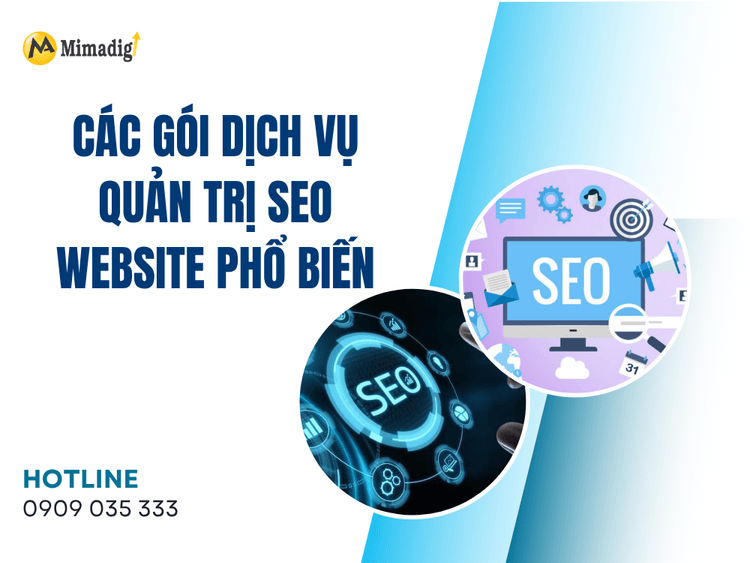 Popular Website SEO Management Service Packages at MIMA