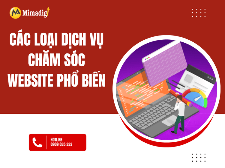 Các loại dịch vụ chăm sóc website phổ biến tại MIMA