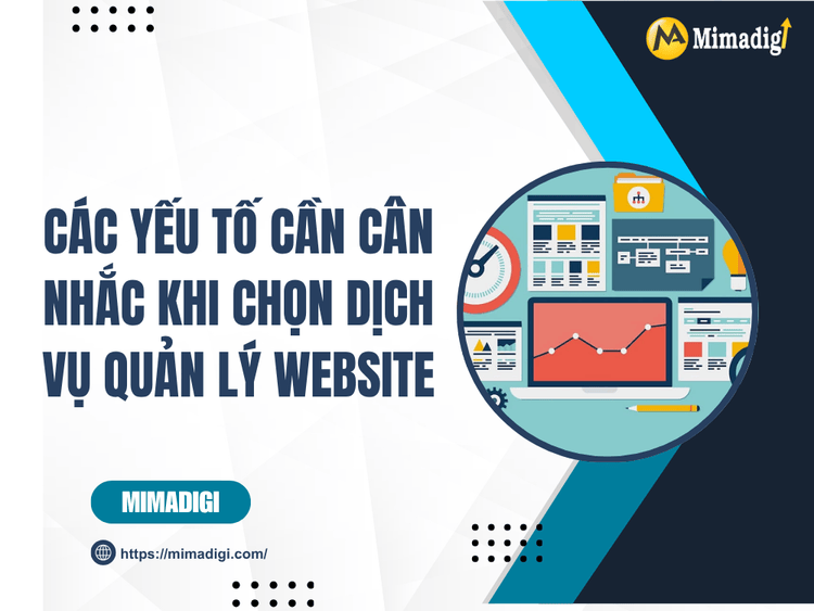 Các yếu tố cần cân nhắc khi chọn dịch vụ quản lý website tại MIMA