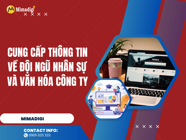 Provide information about the staff and company culture at MIMA