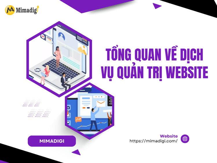 Overview of website management services at MIMA