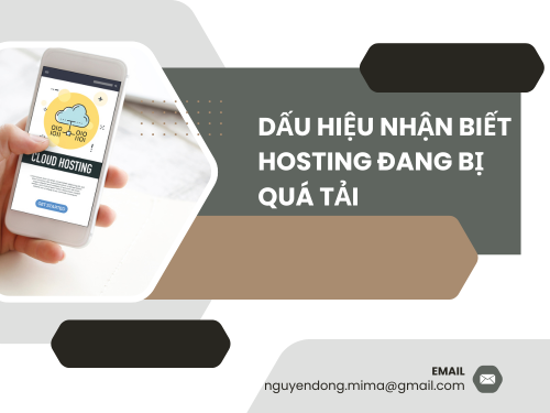 Hosting bị quá tải: Dấu hiệu nhận biết và cách xử lý của mimadigi