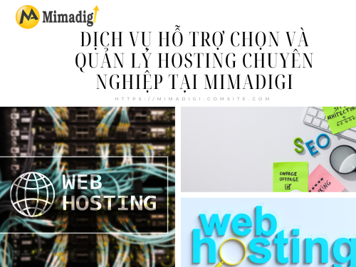 Hosting là gì và vì sao doanh nghiệp nhỏ cần chọn đúng hosting? Cùng MIMADIGI tìm hiểu thêm 