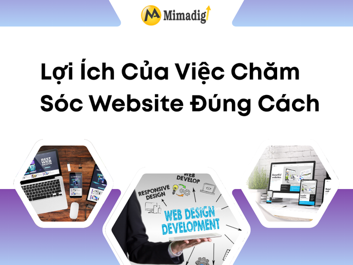 Lợi Ích Của Việc Chăm Sóc Website Đúng Cách tại mima