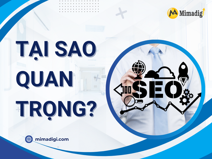 Chăm Sóc Website Thành Phố Hải Phòng Tại Sao Quan Trọng? tại mima