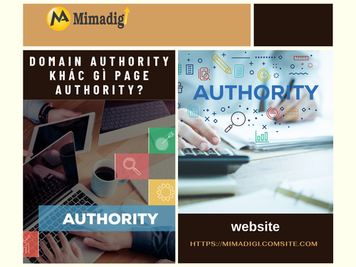 Domain Authority là gì? Có ảnh hưởng gì đến SEO? Cùng MIMADIGI tìm hiểu nhé. 
