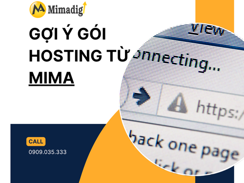 Cách chọn Hosting phù hợp cho website bán hàng/giới thiệu doanh nghiệp của mimadigi