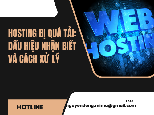Hosting bị quá tải: Dấu hiệu nhận biết và cách xử lý của mimadigi