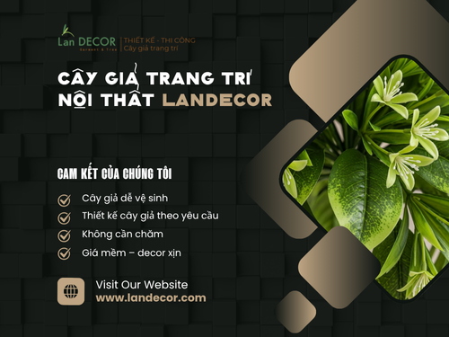 LanDecor – Nghệ thuật trang trí nội thất kết hợp cây xanh hoàn hảo tại mimadigi